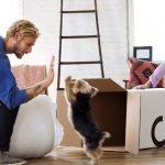 Tuft and Needle Mattress Review