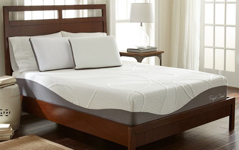 Perfect Cloud UltraPlush Gel-Max 10-inch