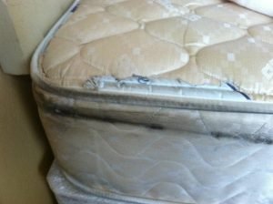 Mold on edge of bed
