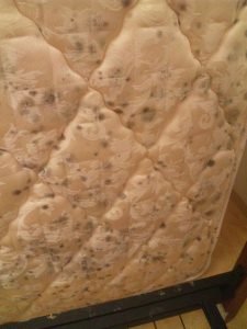 Moldy mattress