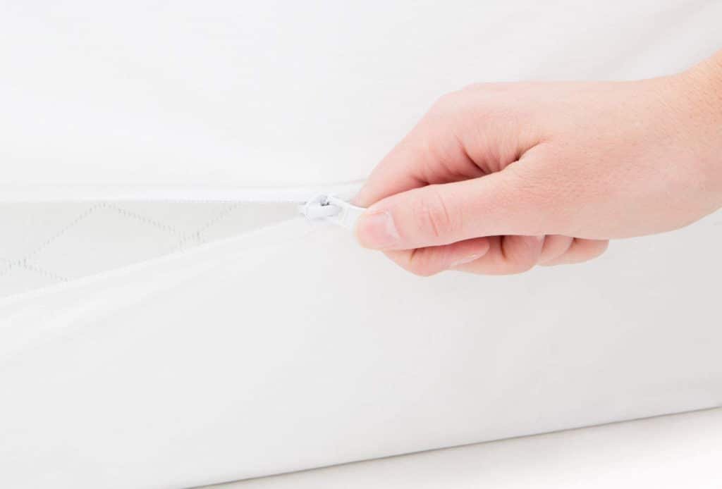 Bed bug zippered cover