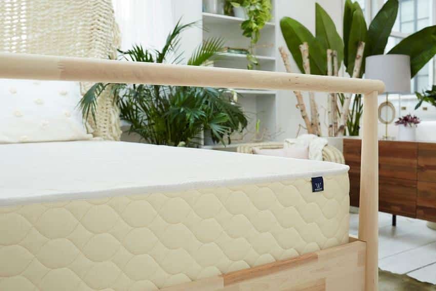 WinkBeds EcoCloud