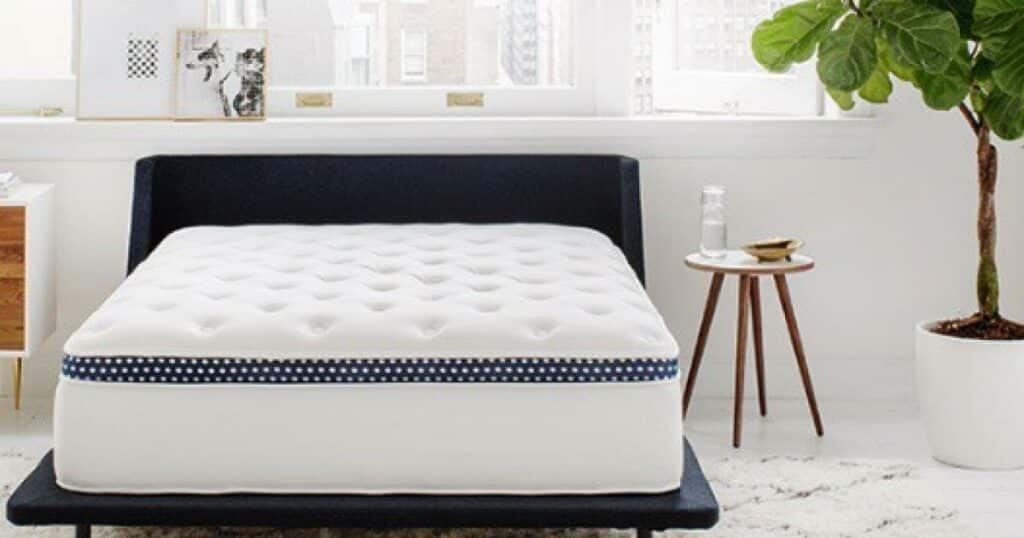 winkbed